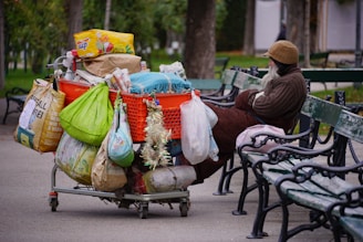 a person sitting on a bench with a cart full of bags