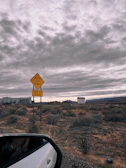 A cloudy sky looms over a desert landscape with sparse vegetation. A yellow traffic sign warns to watch for animals for the next 64 miles. A building complex is visible in the distance, alongside another sign advertising available property. The foreground includes a car's side mirror showing a hand resting on the armrest.