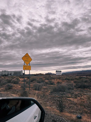 A cloudy sky looms over a desert landscape with sparse vegetation. A yellow traffic sign warns to watch for animals for the next 64 miles. A building complex is visible in the distance, alongside another sign advertising available property. The foreground includes a car's side mirror showing a hand resting on the armrest.