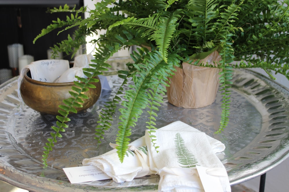 a table topped with a potted plant and a napkin