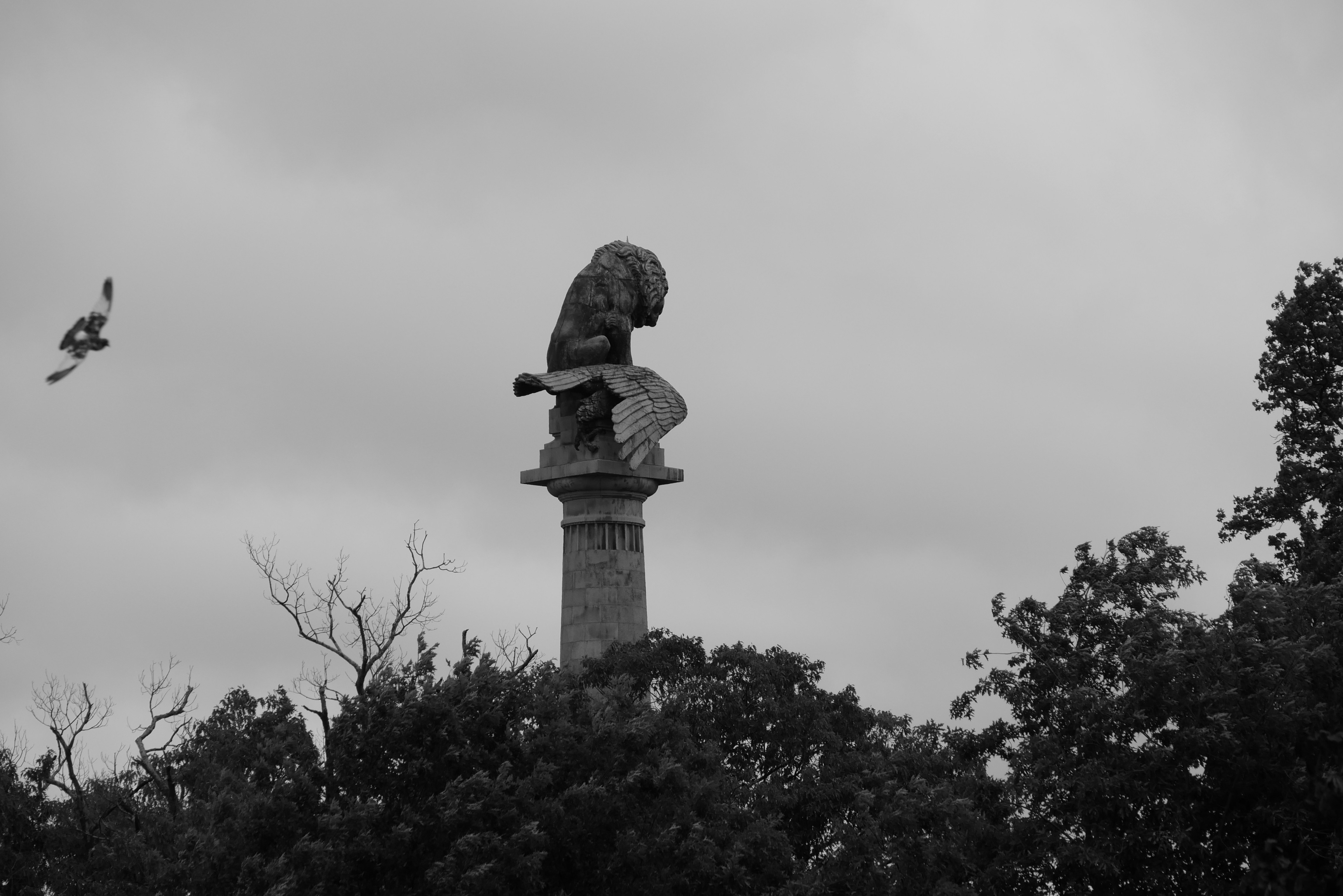 Photo by oxygenvisuals