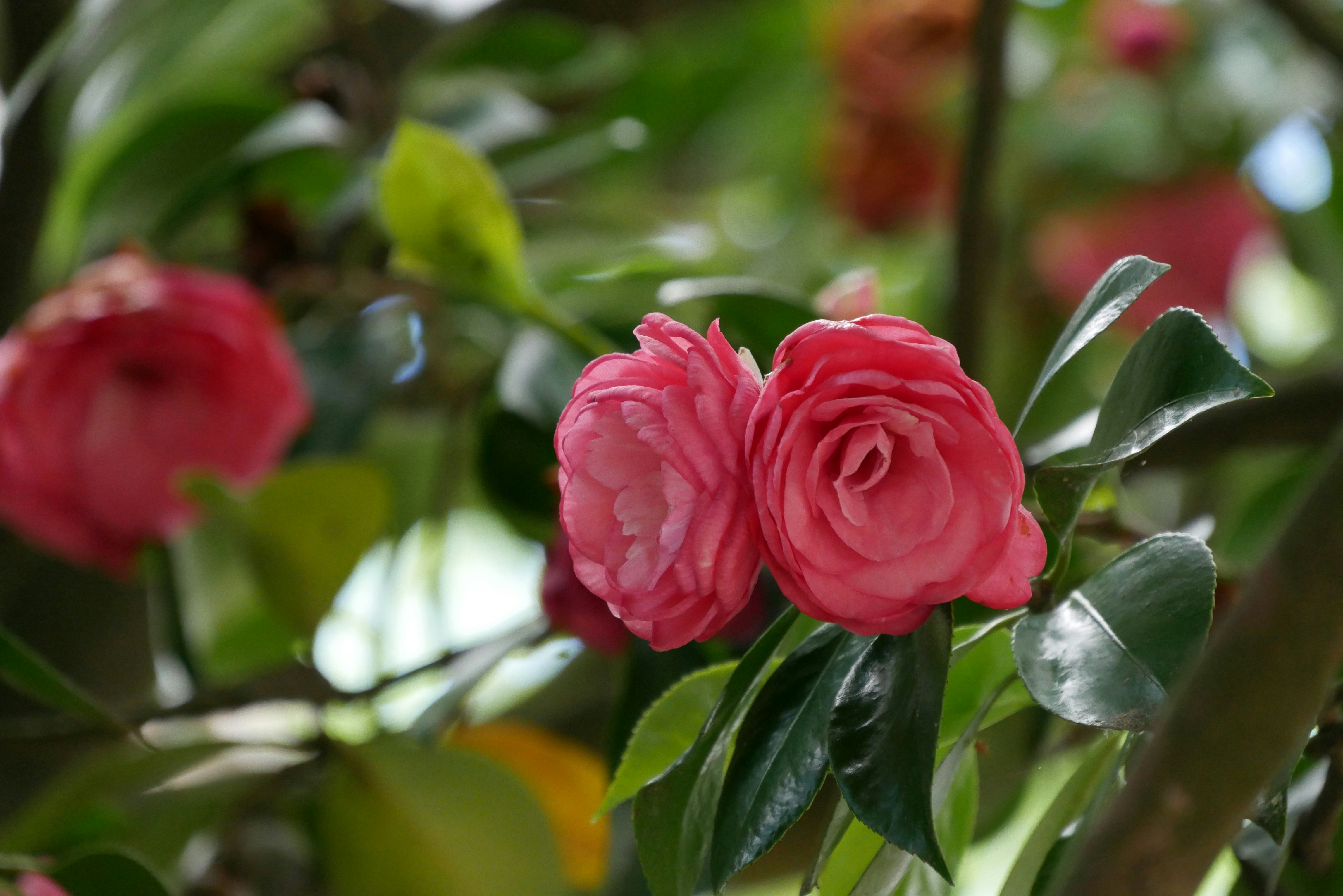 Photo by oxygenvisuals