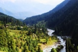 Lush green valleys and flowing river of Valley of Flowers national park