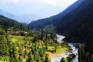 Lush green valleys and pristine rivers of Bhutan.