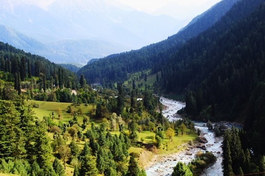 A scenic mountain valley in northern Pakistan with lush greenery and a winding river under a clear blue sky.