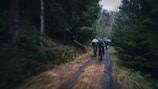 A group of cyclists riding through a misty forest trail at dawn.