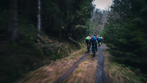 A team shaping a new mountain bike trail through dense forest.