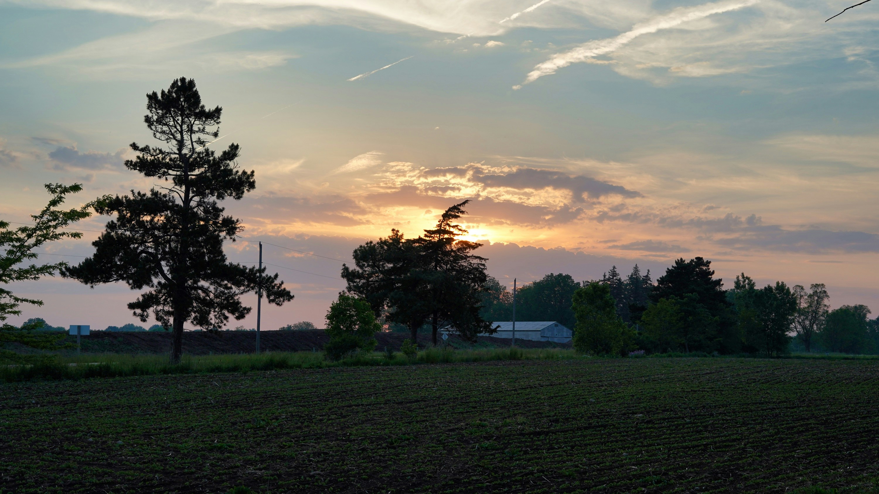 Photo by darinmartin76