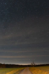 Mysterious forest path under a starry night sky.