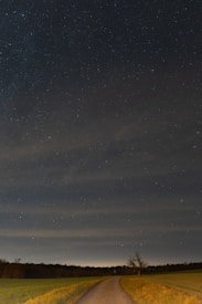 A winding path leads through a field under a starry night sky. The horizon is lined with trees, and a solitary tree stands on the right side of the path. The sky is partially covered with thin clouds, and the landscape is illuminated by a subtle glow.