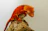 A colorful crested gecko perched on a branch, with curious visitors admiring it in the background.
