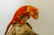 A colorful crested gecko perched on a branch, with curious visitors admiring it in the background.