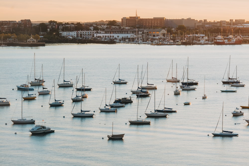 a group of boats floating on top of a body of water