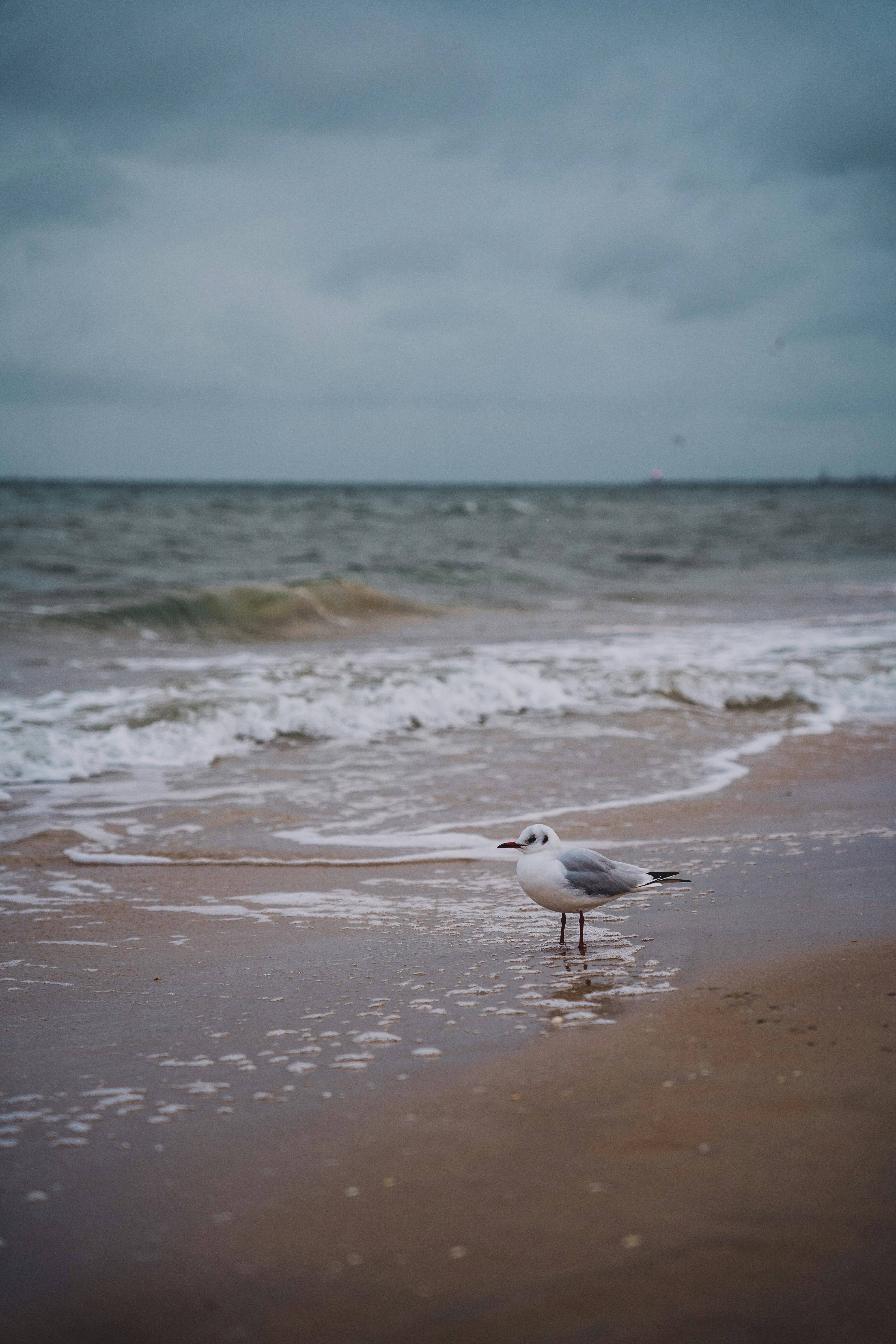 Photo by annahunko