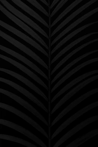 Premium expo pass with luxury tropical motifs and sleek minimal design.
