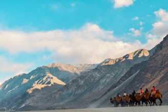 a group of people riding on the backs of horses