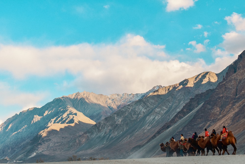 a group of people riding on the backs of horses