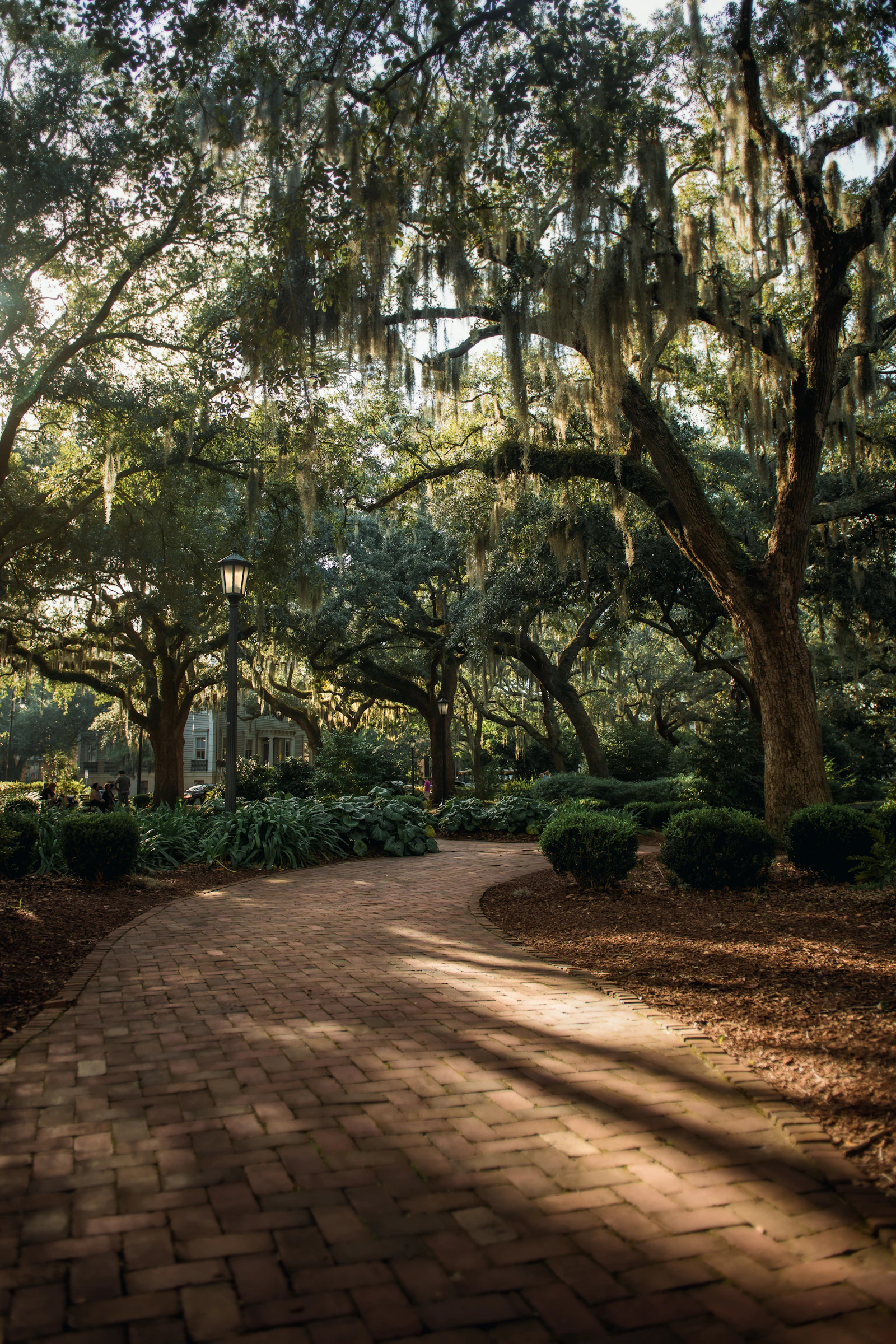 A walkable brick path lined with trees through a historic Savannah square