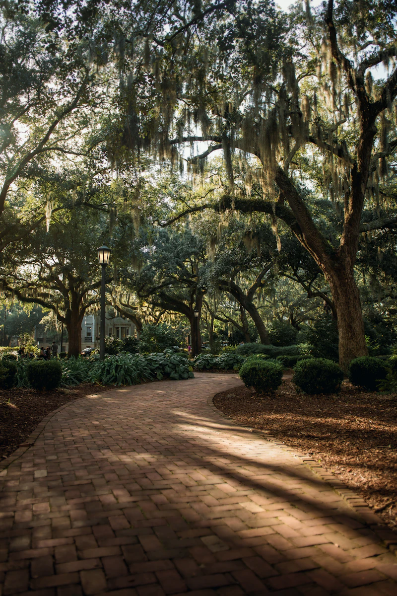 Where to Stay in Savannah Without Renting a Car
