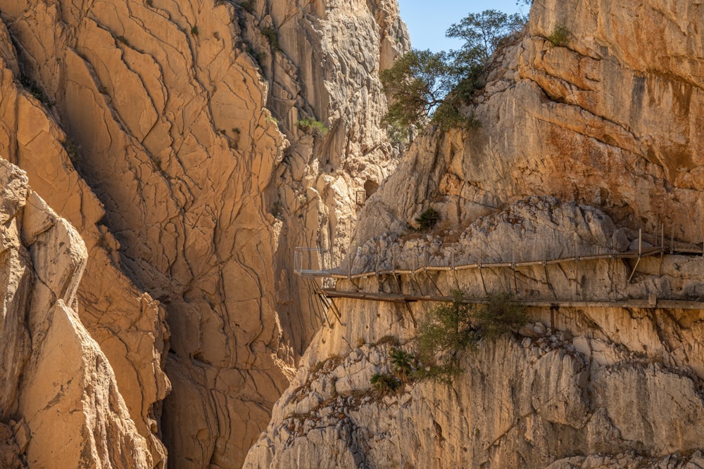 a wooden bridge suspended over a canyon in the mountains