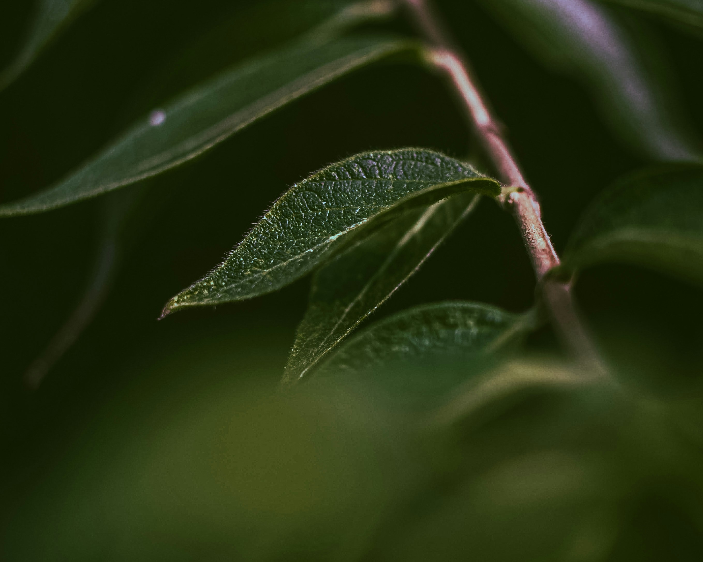 Photo by jeffrey_jpeg