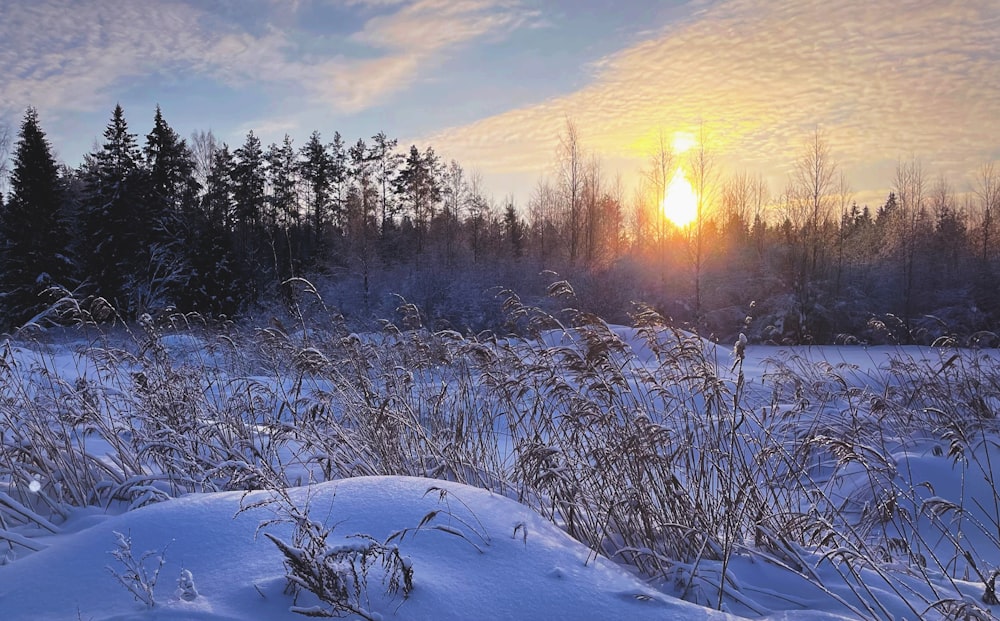 the sun is setting over a snowy field