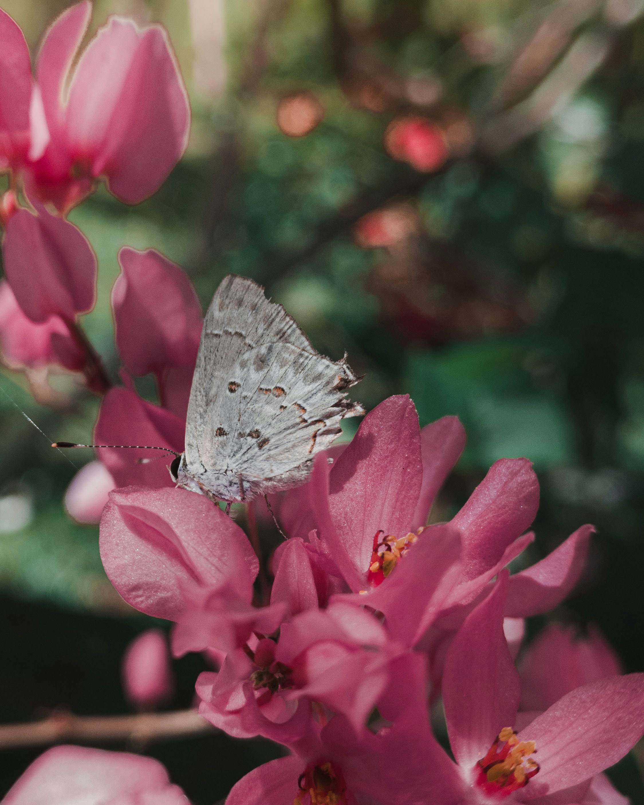 Photo by jazzevedo