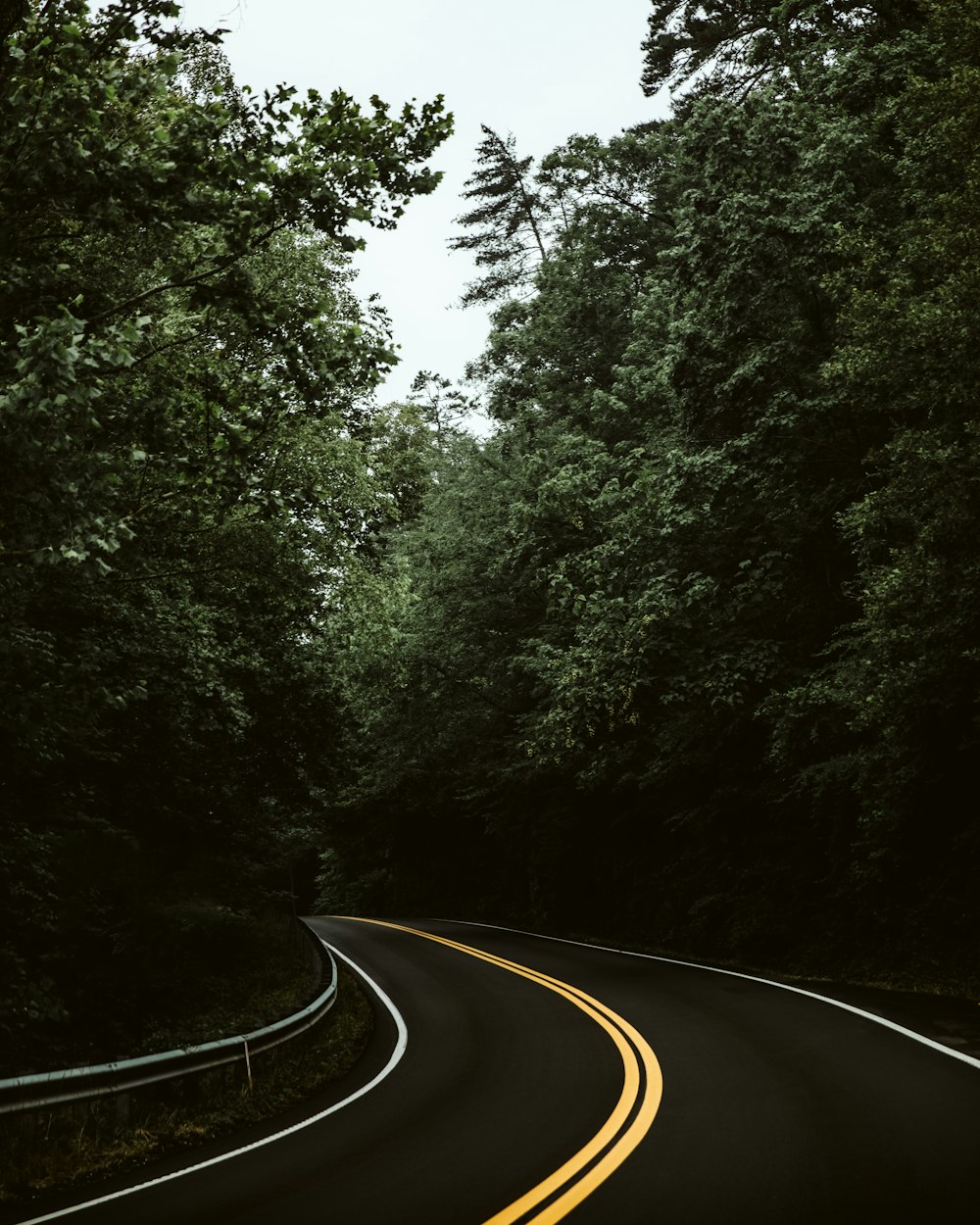 a curve in the road in the middle of a forest