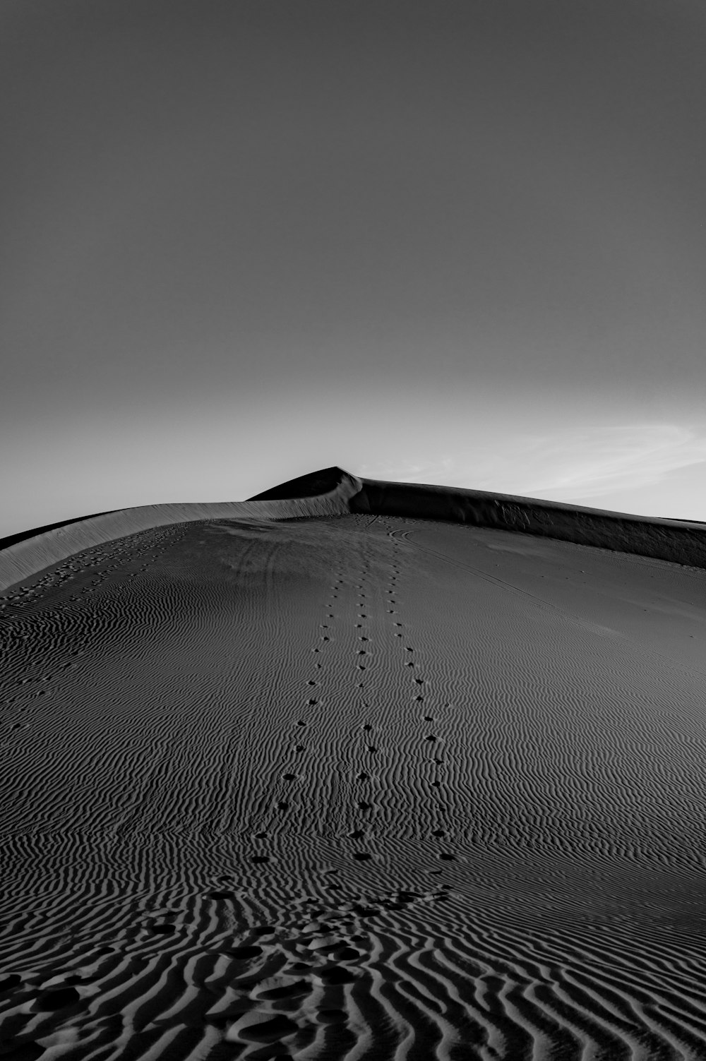 a black and white photo of a sand dune