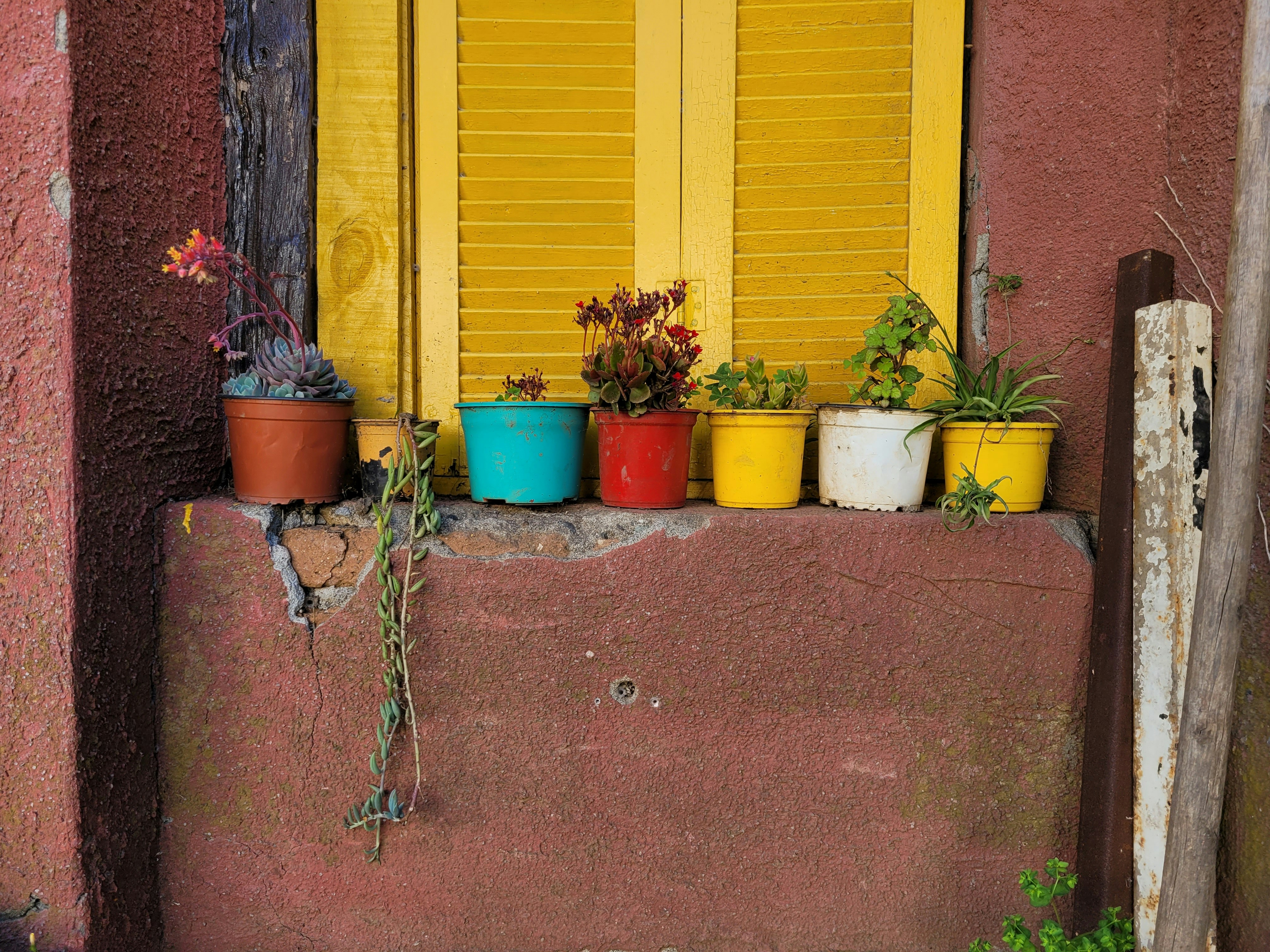 garden detail at a beach house in a summer evening