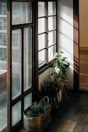 Minimalist interior corner with wooden furniture, potted greenery, and soft shadows.