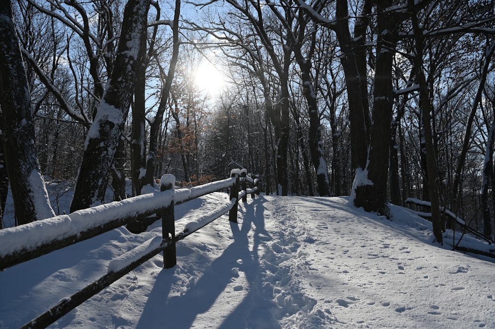 a couple of people that are walking in the snow