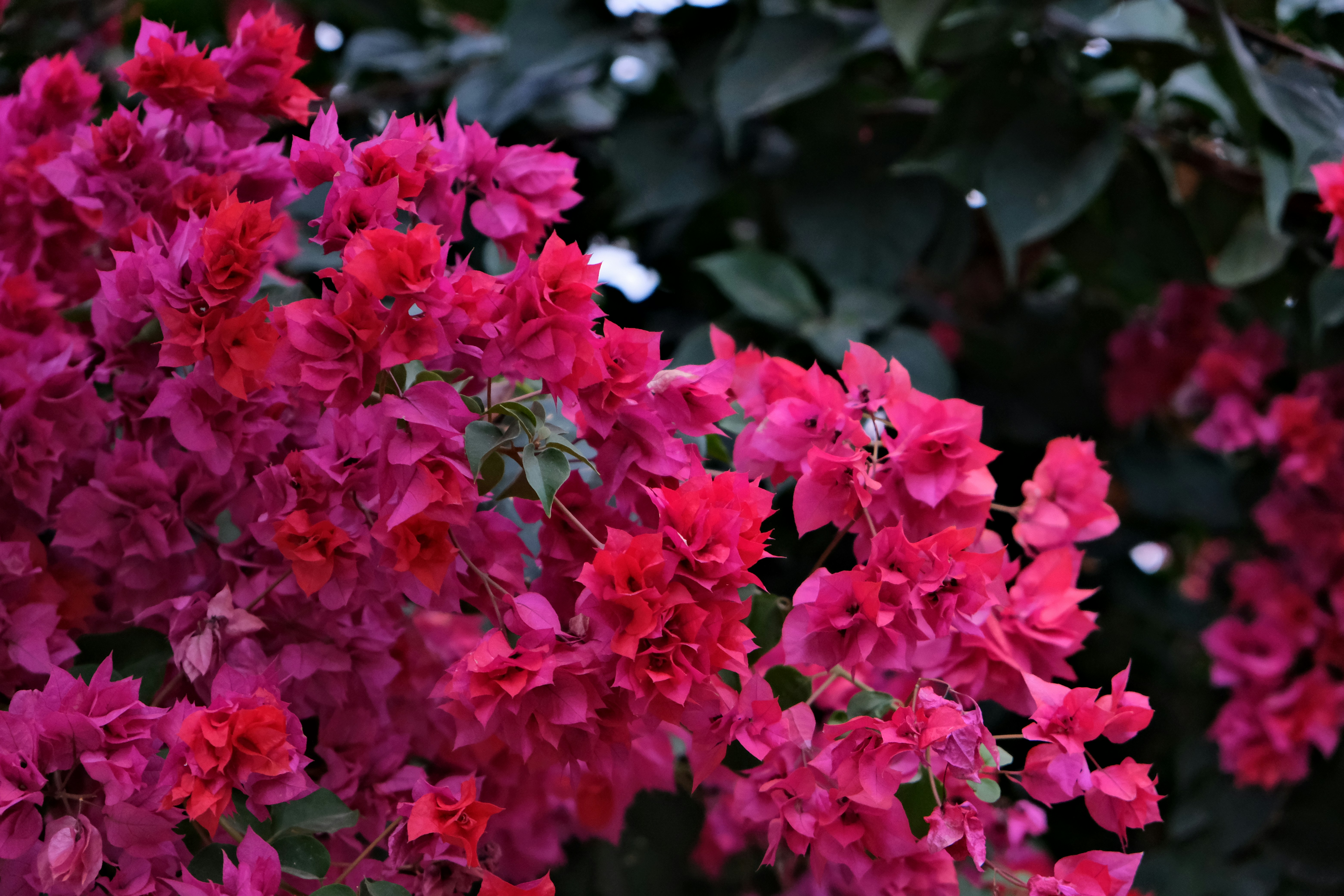 Photo by warmwater215