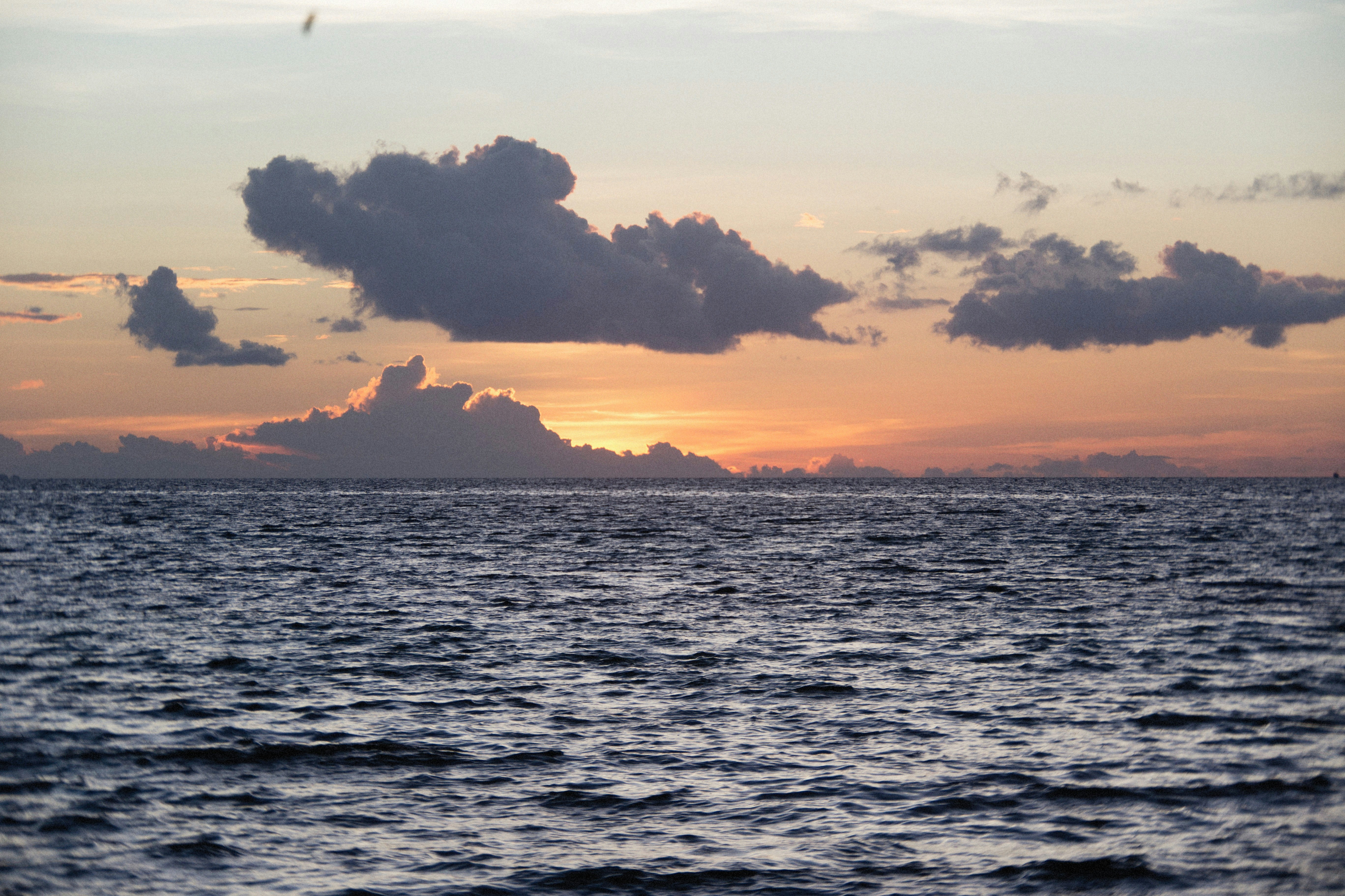 Photo by alexeydemidov