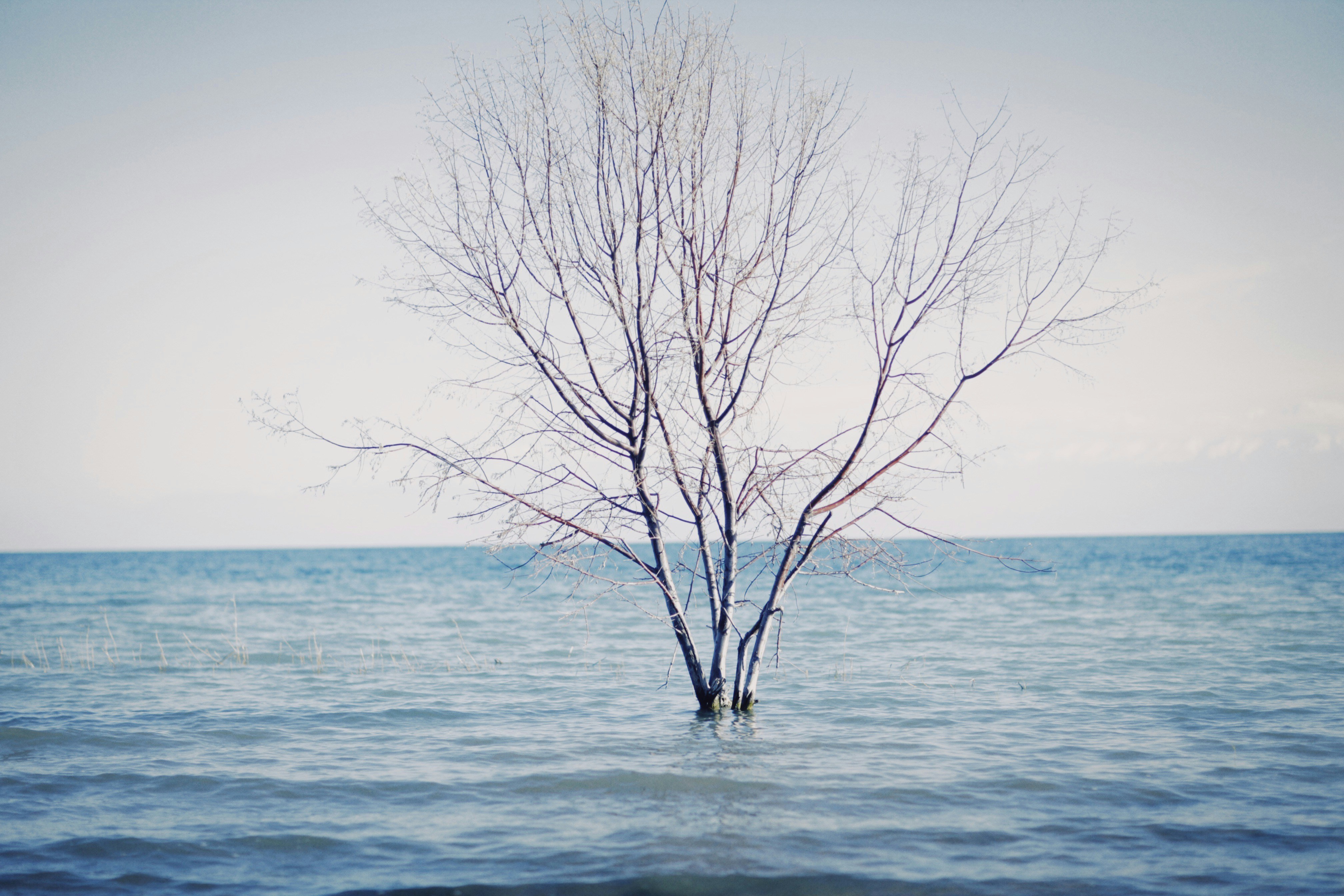 Photo by alexeydemidov