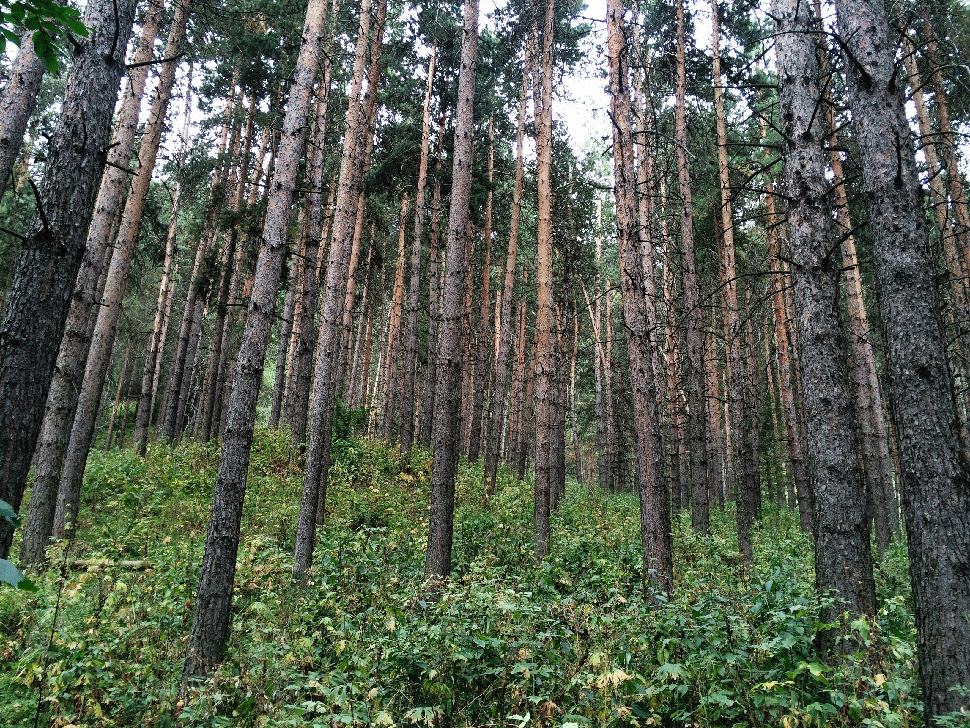 Photo by alexeydemidov