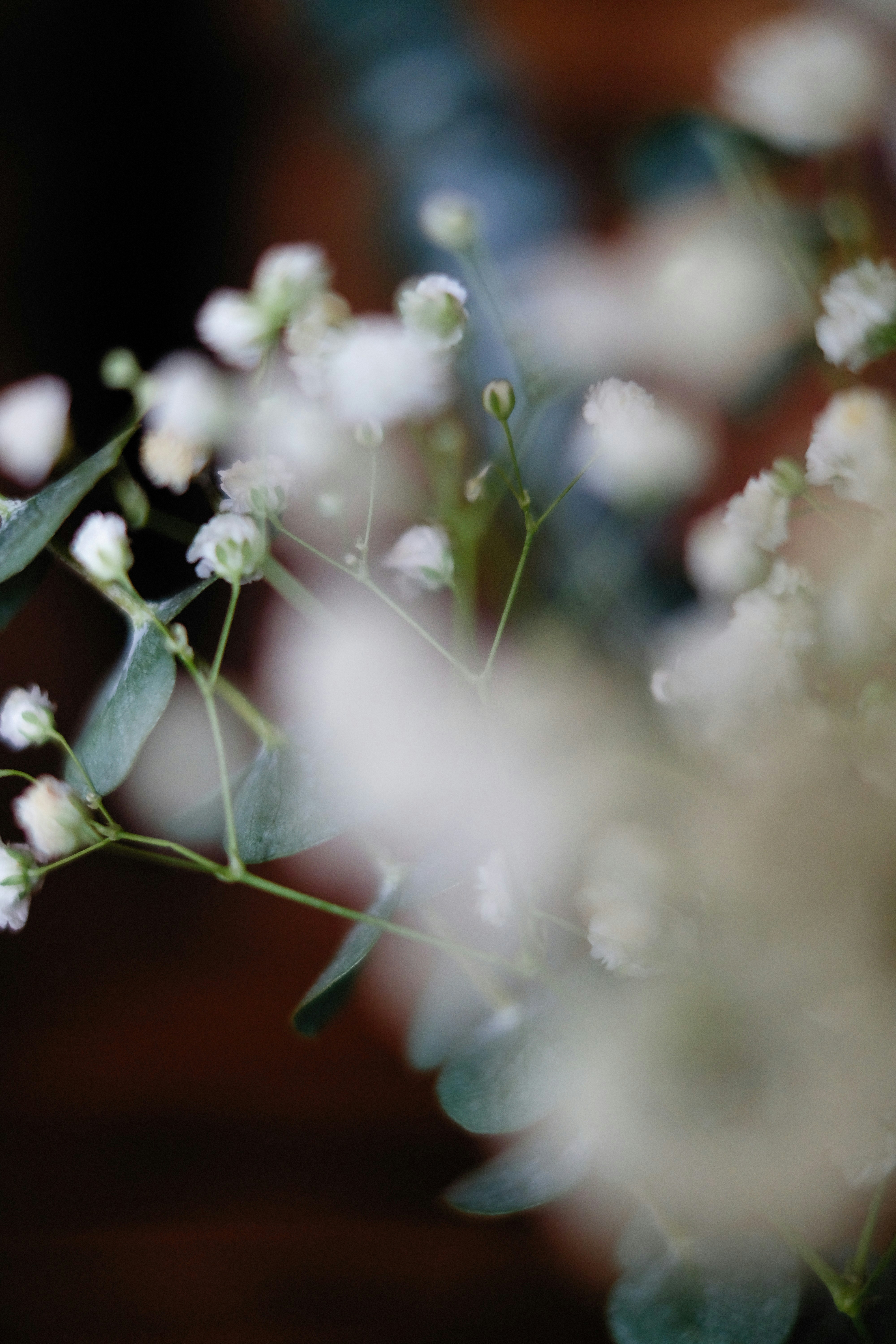 Photo by alexeydemidov