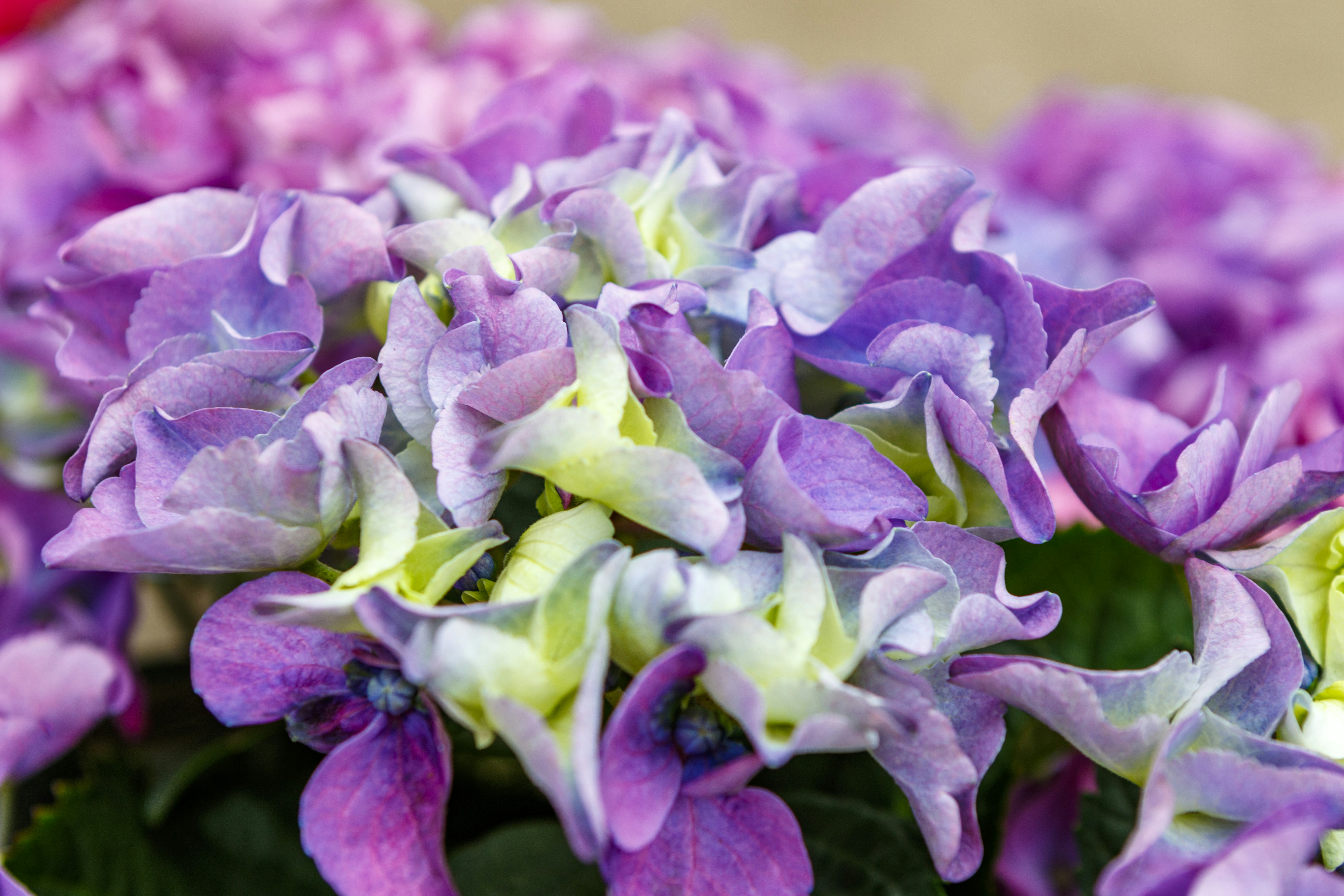 Photo by parkerdesignsss