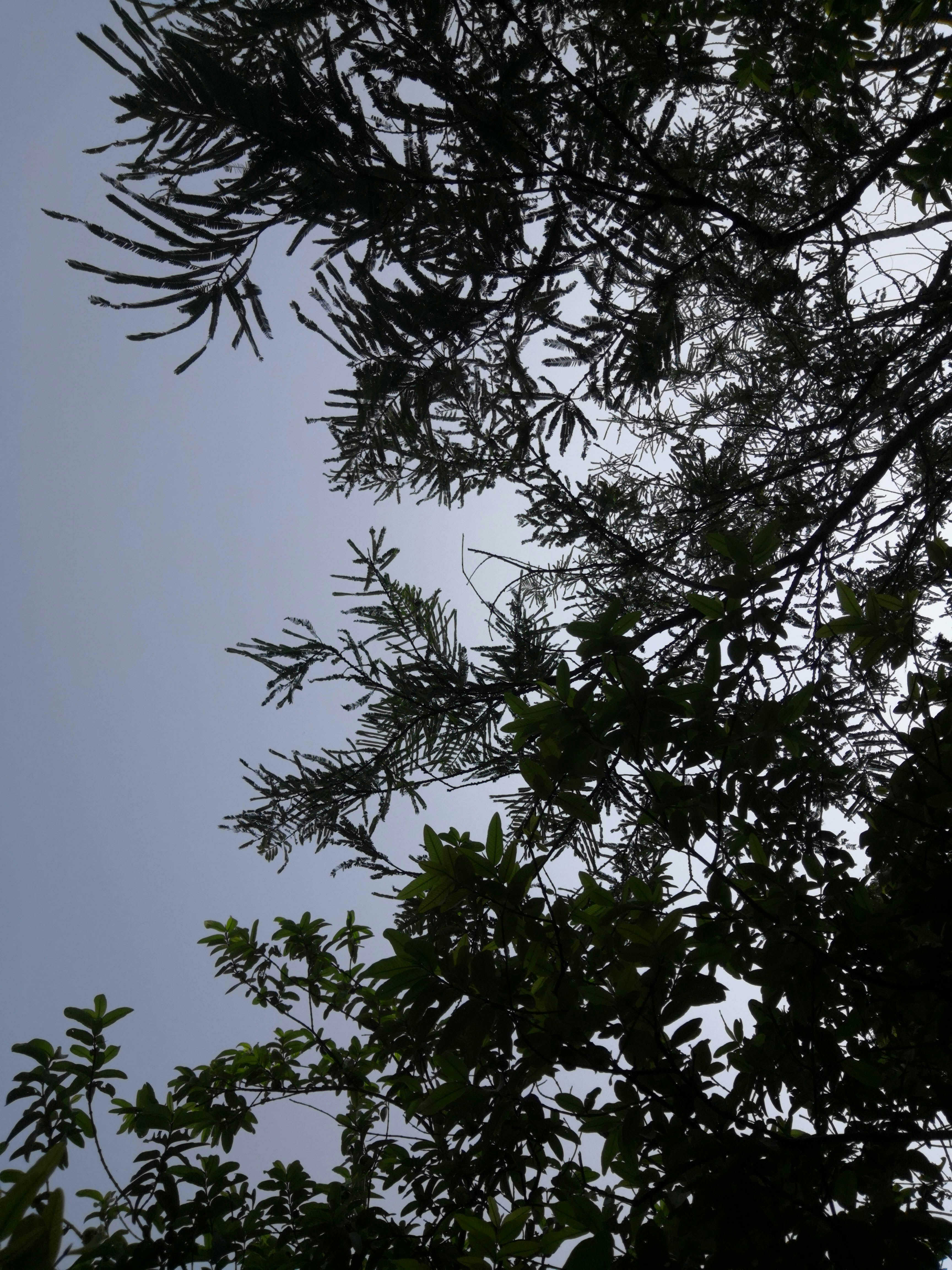 Photo by naturebyneha