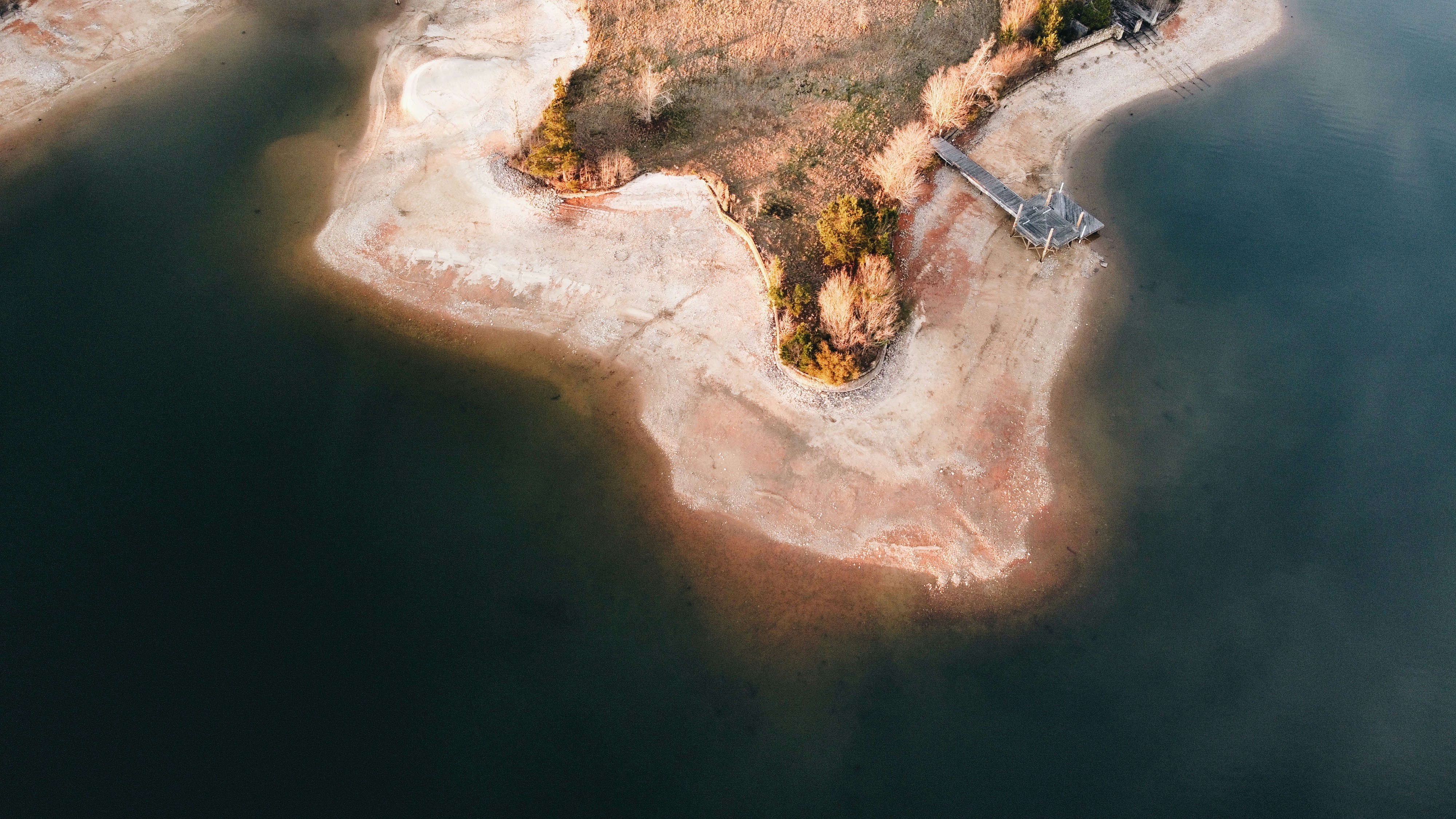 Photo by brendencampana