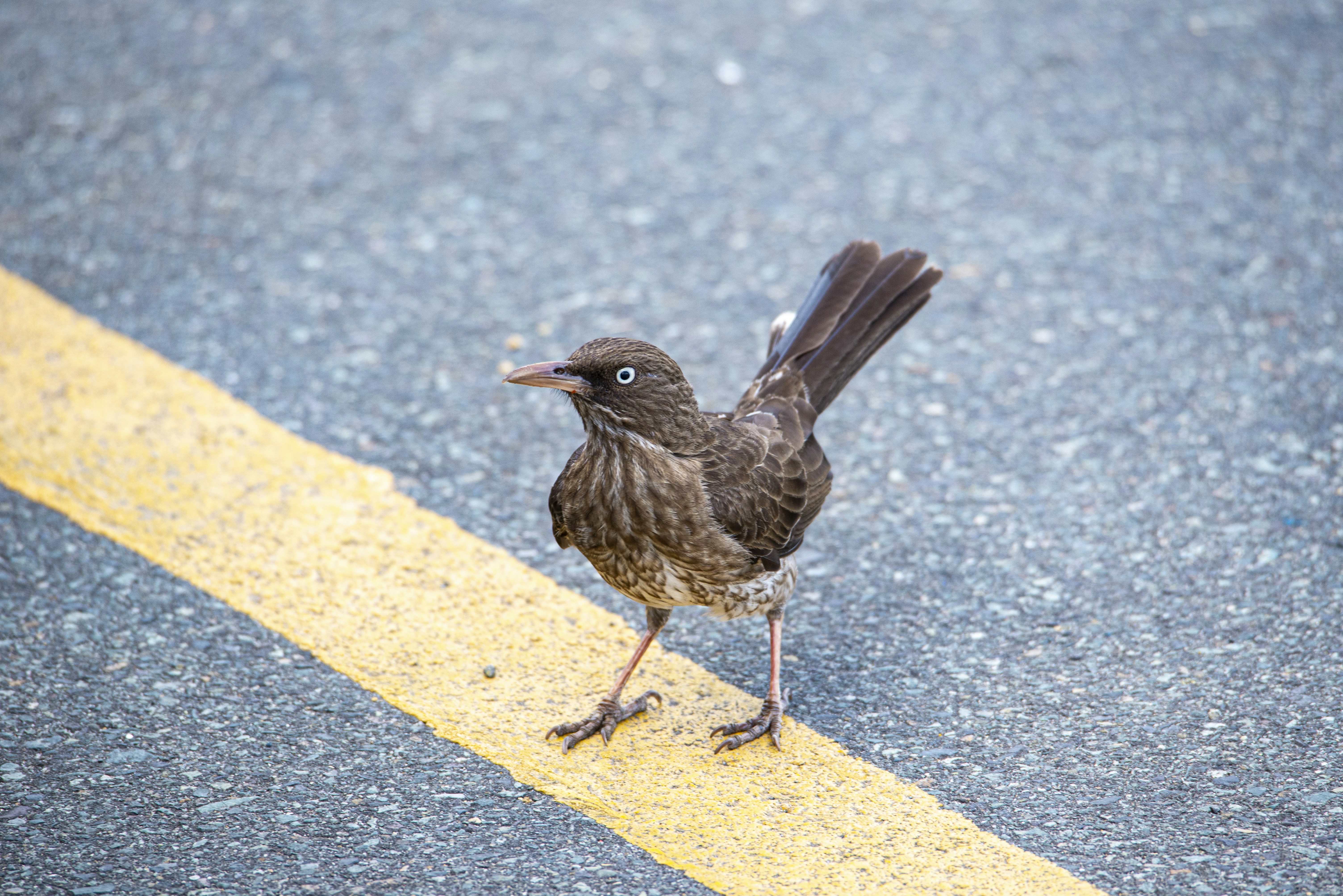 Photo by climatechangevi