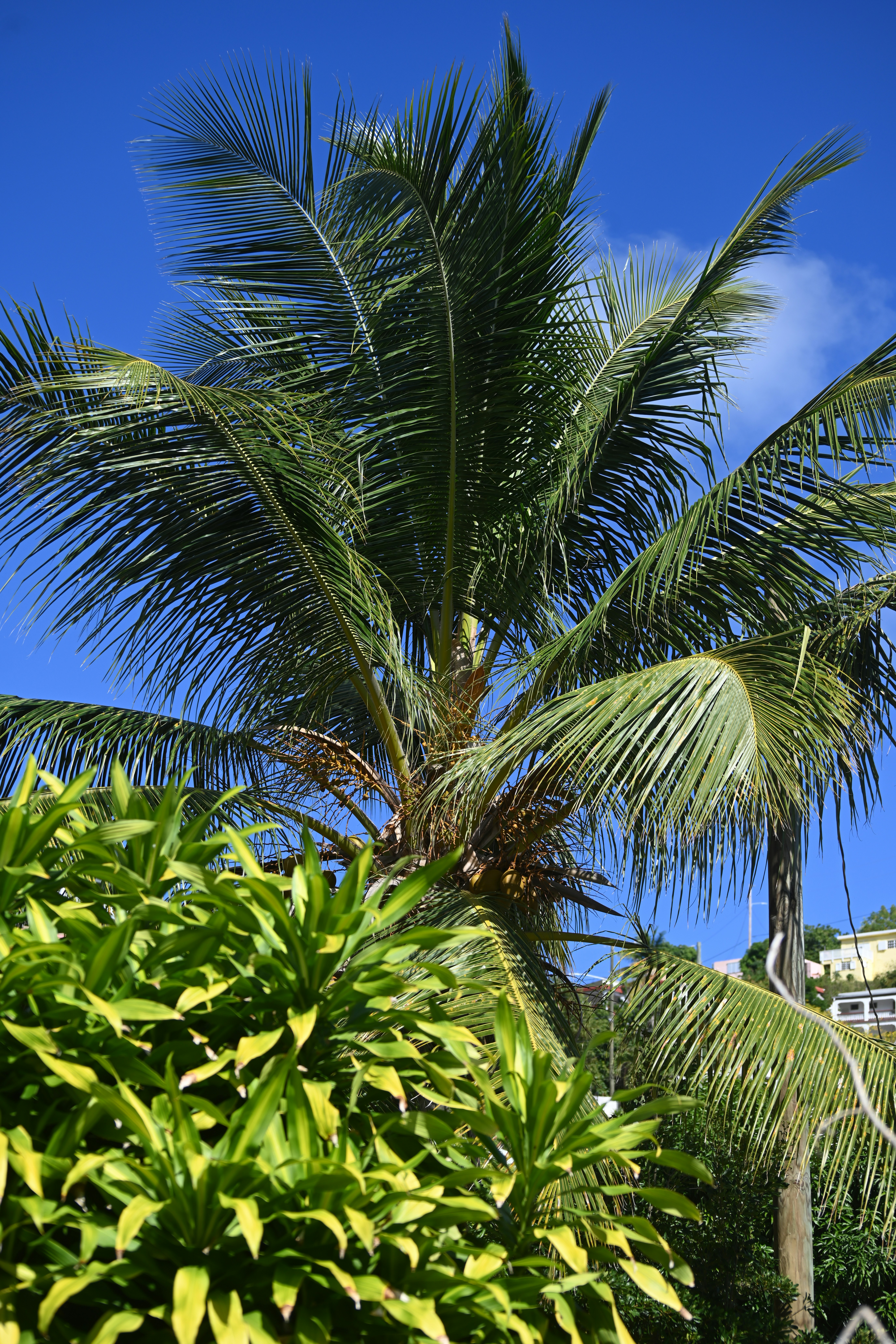 Photo by climatechangevi