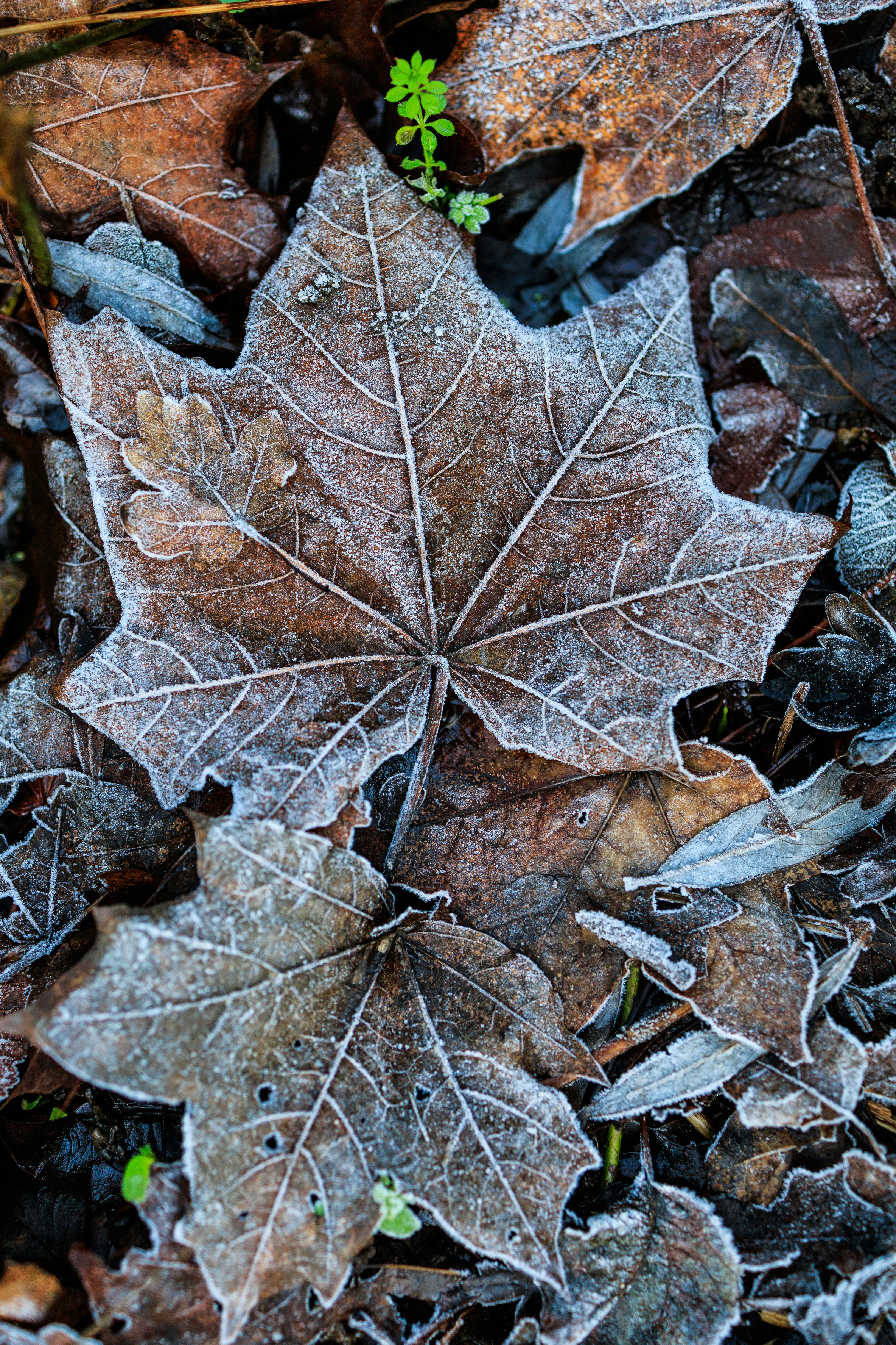 Photo by grievek1610begur