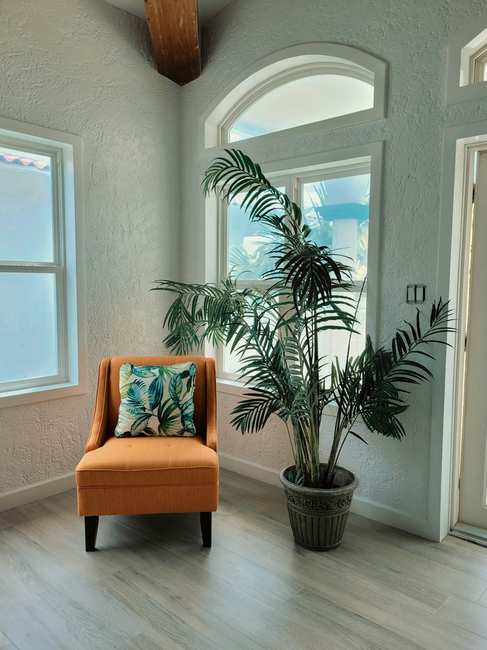 a chair and a plant in a room