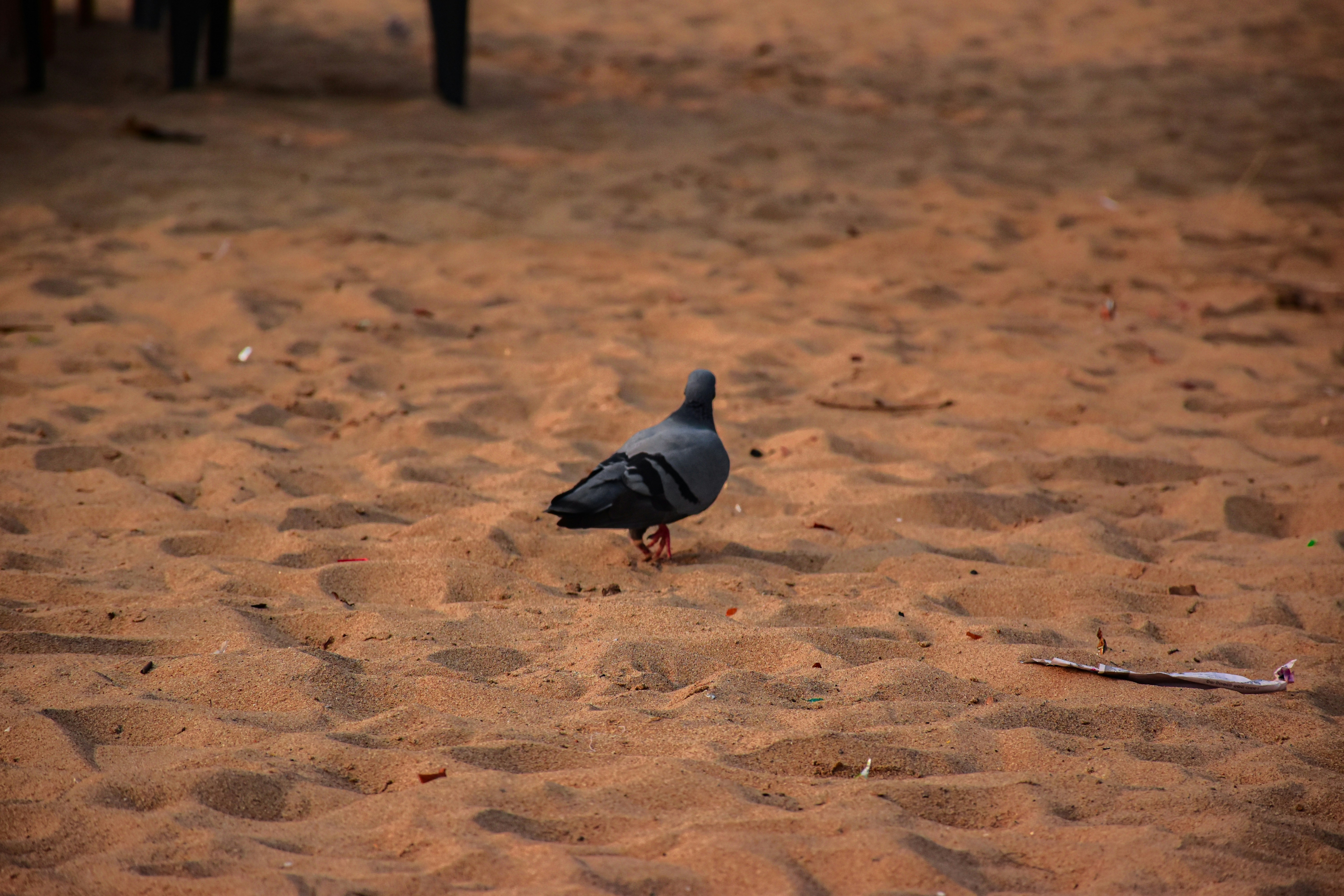 Photo by ankita_clicks