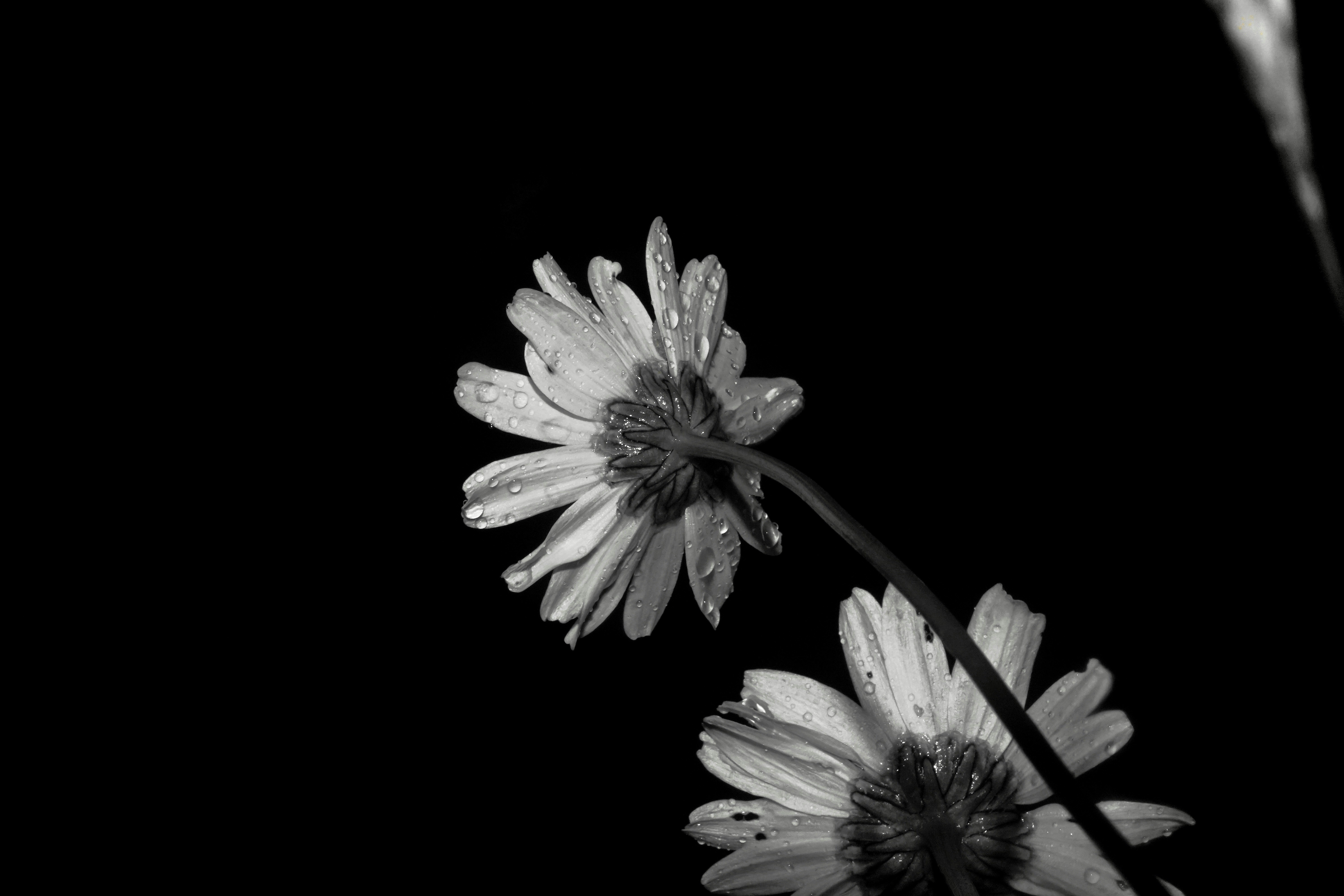 Photo by llovisabjorklund