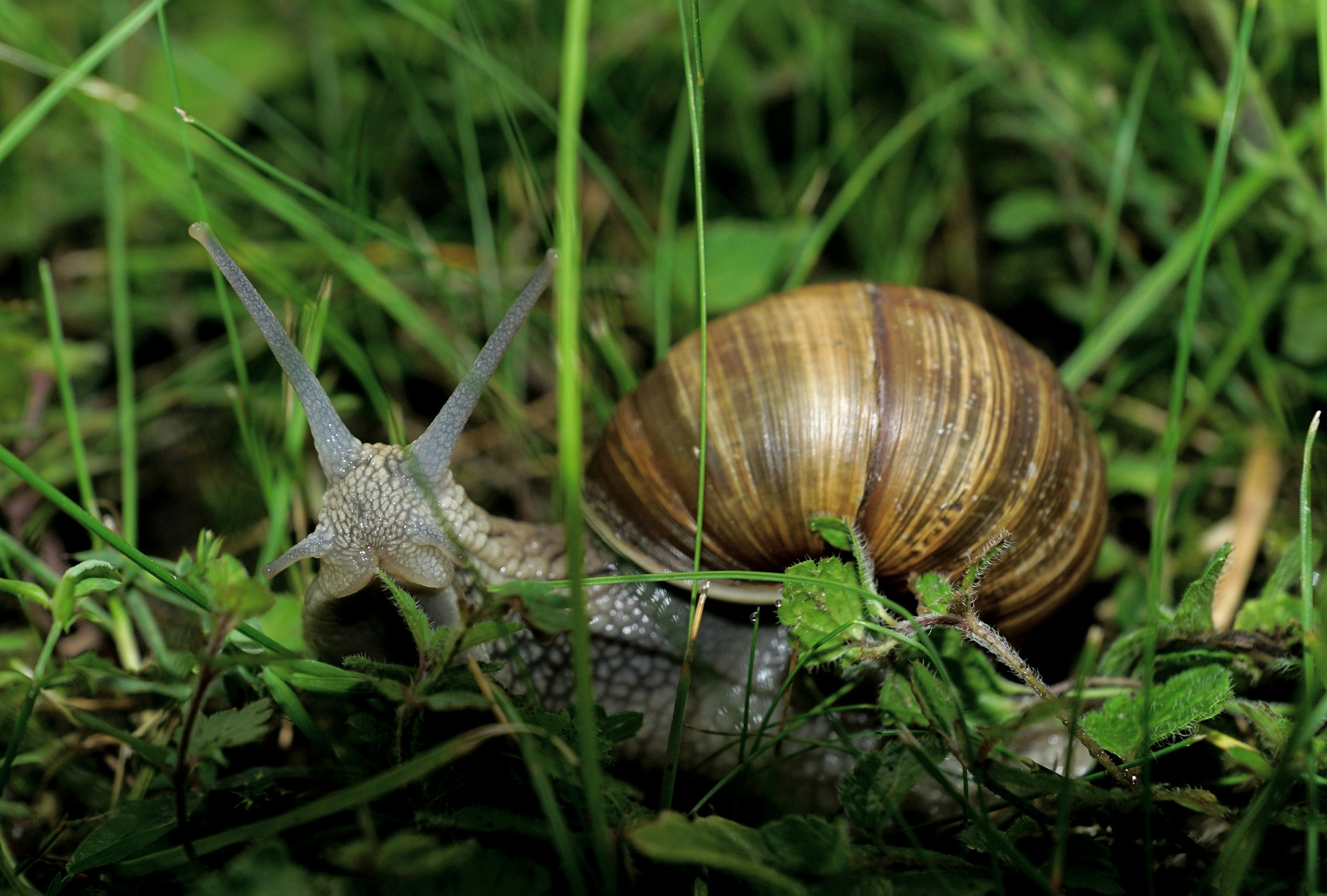 Photo by llovisabjorklund