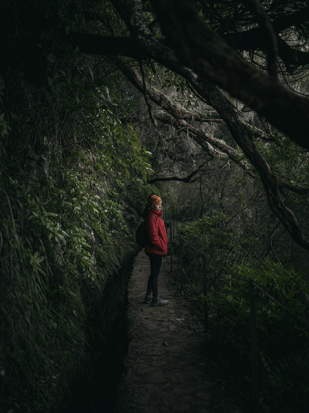 a woman in a red jacket walking through a forest