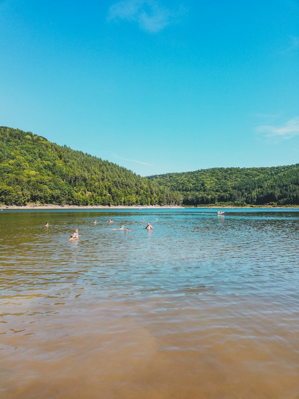 a group of people swimming in a large body of water