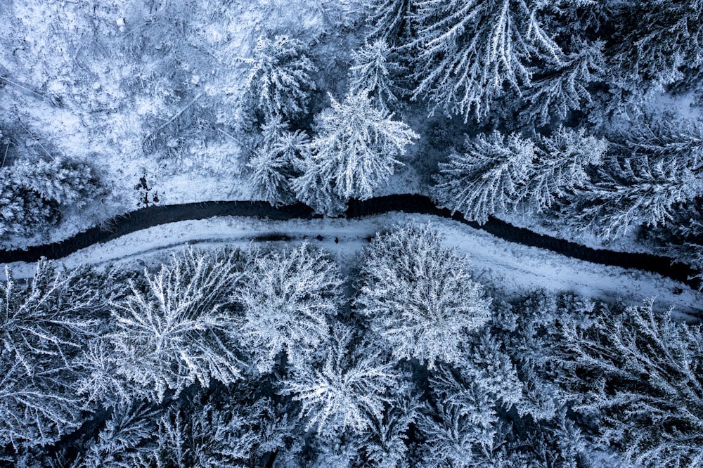 an aerial view of a snow covered forest